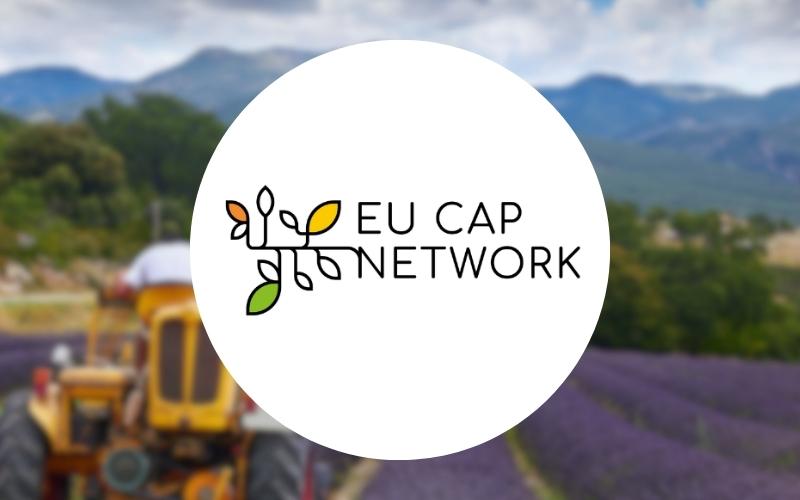 EU CAP network banner
