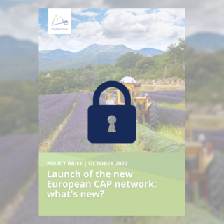 Cover EU CAP network policy brief locked 2022