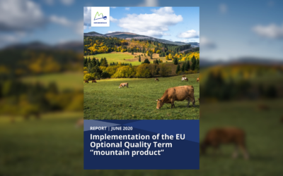 Cover mountain products report 2020