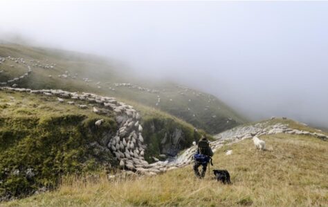 Nancy-sur-cluses©SEA74